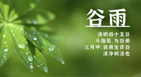 【二十四節(jié)氣灸】谷雨時節(jié)，用艾為您的健康加上一道保險！