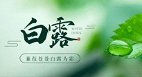 【二十四節(jié)氣灸】白露涼爽，養(yǎng)心肝脾胃、滋陰潤肺是關鍵！